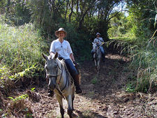 Costa Rica-Pacific Coast-Rainforest Multisport Adventure in Costa Rica